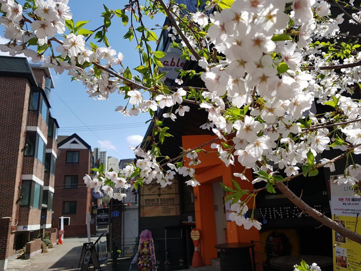 Able Guesthouse Hongdae Seoul Exterior photo